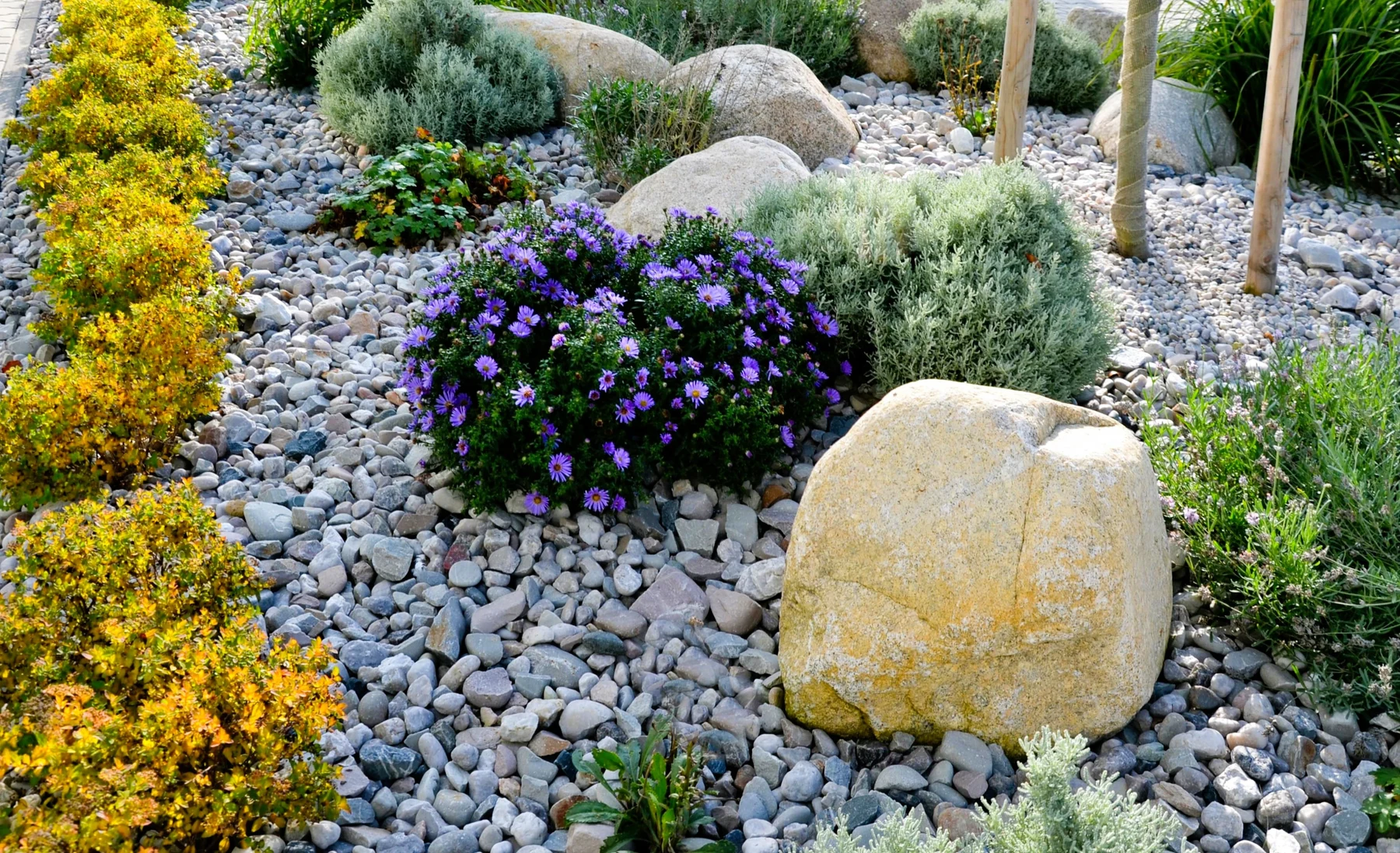 Flowering plants and silvery foliage layered among stone and gravel in Green Ease’s website imagery.